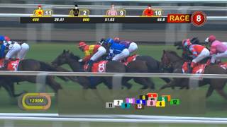 Emirates Singapore Derby 2015 (Quechua) screenshot 4