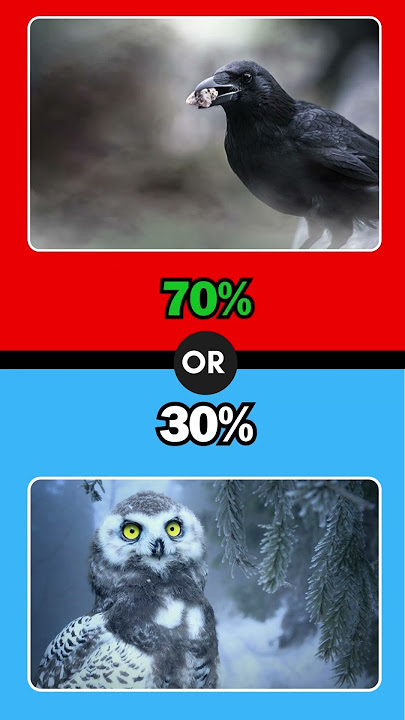 what would you rather? #shorts