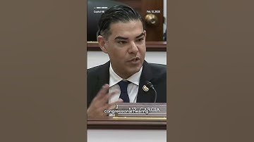 Rep. Robert Garcia takes aim at Elon Musk during DOGE hearing