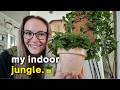 A Cozy House Plant Show and Tell 🪴 - Cottage Vibes