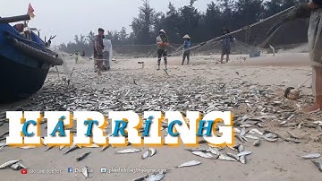 Ngư dân - Xem ngư dân trúng đậm mẻ cá trích .