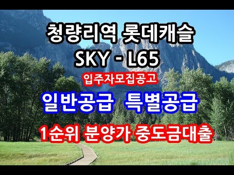 대출모집인