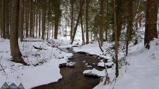 Winter Creek - 4K HDR 60fps - no loop