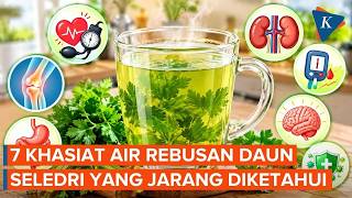 7 Health Benefits of Drinking Celery Leaf Water