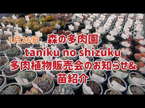 森の多肉園 taniku no shizuku 多肉植物販売会in滋賀のお知らせ&苗紹介