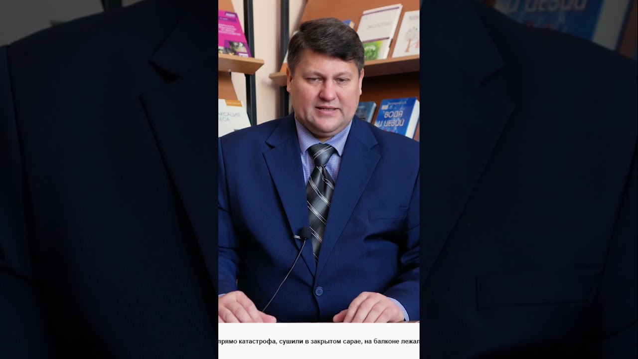 Почему картофель зеленеет секреты правильного хранения
