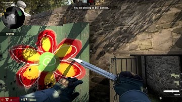 CS GO - How to Test Out Any Rare Skin or Knife