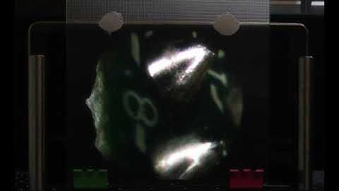 3D Integral Imaging Display from "Robust Depth Estimation for Light Field Microscopy"