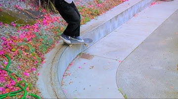 Rough Cut: Jack Springer