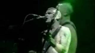 Flea-Pea.wmv