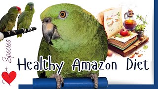 What Makes a Healthy Amazon Diet? | #parrot_bliss #amazonparrot