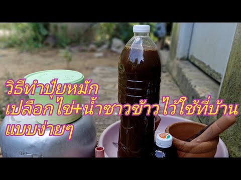 จุลินทรีย์ เปลือกไข่และน้ำซาวข้าว