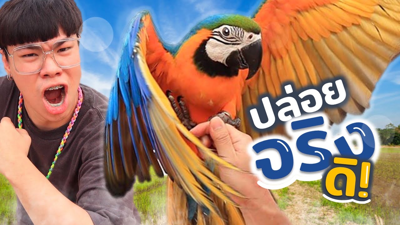 ถึงเวลาต้องปล่อย 