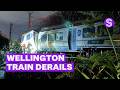 Wellington train derails, several people hospitalised | Stuff.co.nz