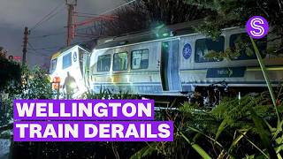 Wellington train derails, several people hospitalised | Stuff.co.nz