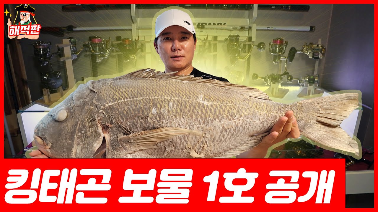 [해적판 EP22] 구독자님들께 다 드리겠습니다! 킹태곤 보물창고 대방출