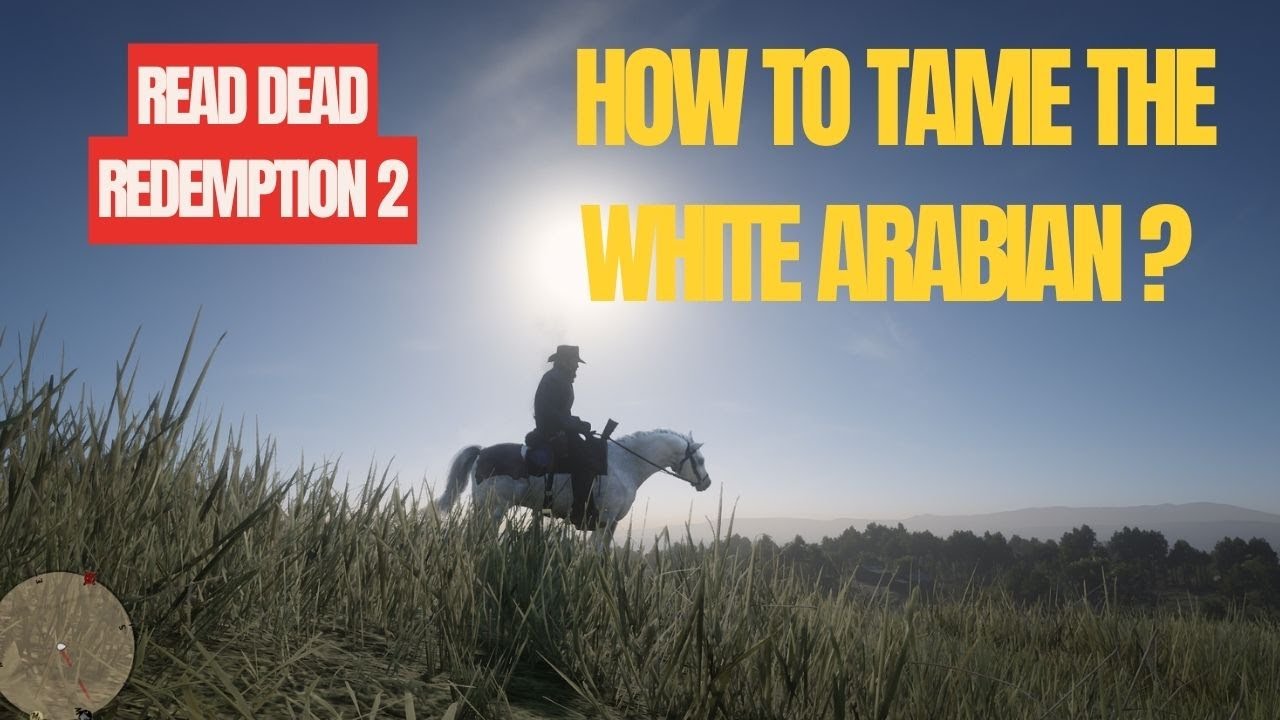 Red Dead Redemption 2 How To Get The White Arabian Horse without using ...