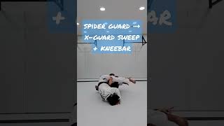 spider guard ➞ x-guard sweep + kneebar [병점주짓수, 병점동주짓수, 병점역주짓수]