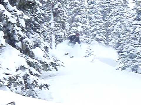 Wayne Powder in Trees