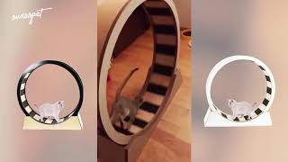 Katzenrad Vigo 600269