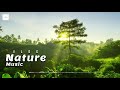 Nature Music Vlog (Vlog No Copyright Music)