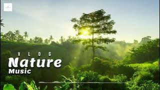 Nature Music Vlog (Vlog No Copyright Music)