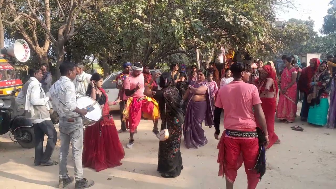 11 फरवरी 2026