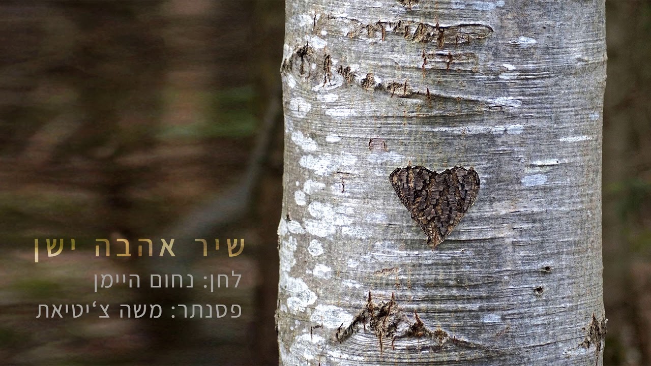 שיר אהבה ישן - משה צ'יטיאת - YouTube Music