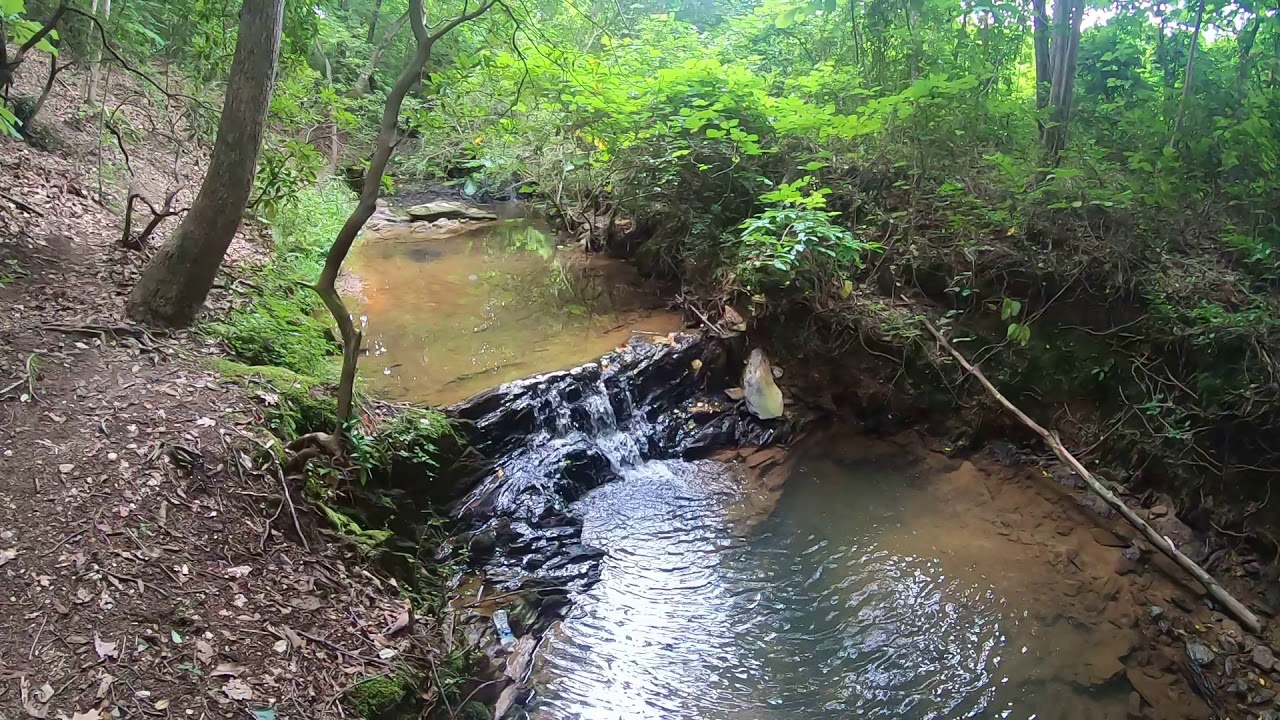 Walking in the park in Lowell North Carolina YouTube