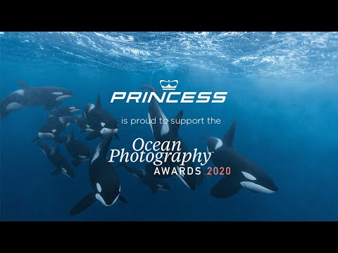 فيديو: جمال المحيط وقوته في صور فوتوغرافية للفائزين بجوائز Ocean Photography Awards لعام 2020