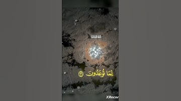 تلاوة خاشعة😴 #فلسطين_حرة #اكسبلور #لايك