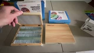 AmScope 200 slides set