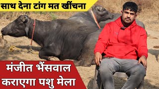 मंजीत भैंसवाल कराएगा पशु मेला, साथ देना टांग मत खींचना || Podcast with Manjeet Bhainswal Part - 3