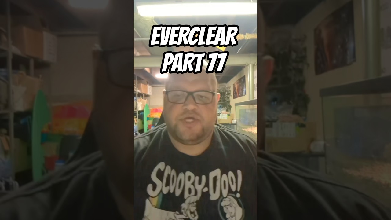 EVERCLEAR PART 77 #genx #80s #everclear #nostalgia #danregancomedy