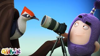 Wildlife 🐦 | ODDBODS 😂 | Old MacDonald's Farm | Funny Cartoons for Kids by Old MacDonald's Farm - Moonbug Kids 4,920 views 1 month ago 1 hour, 59 minutes