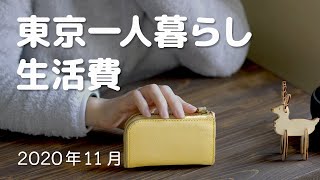 【生活費】東京一人暮らし在宅リモートワーク派遣の生活費を公開/11月