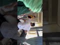 albadivlogs funny video 😂#albadivlogs #albadi2.0 #albadi_balak_status
