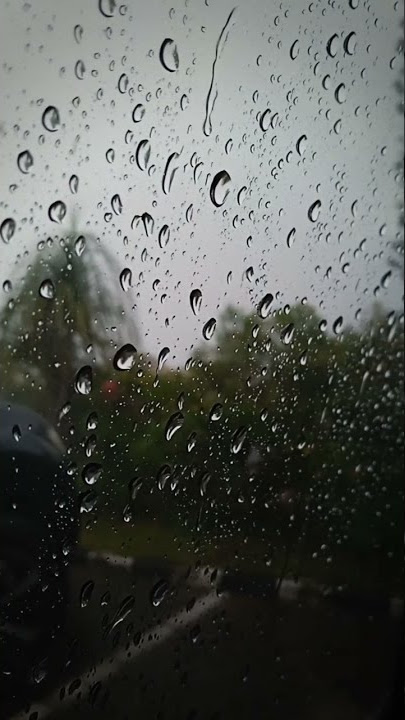 Hujan #shorts #november #rain