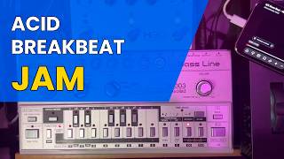 TB-303 Acid Breakbeat Jam Session w/ Eventide H90