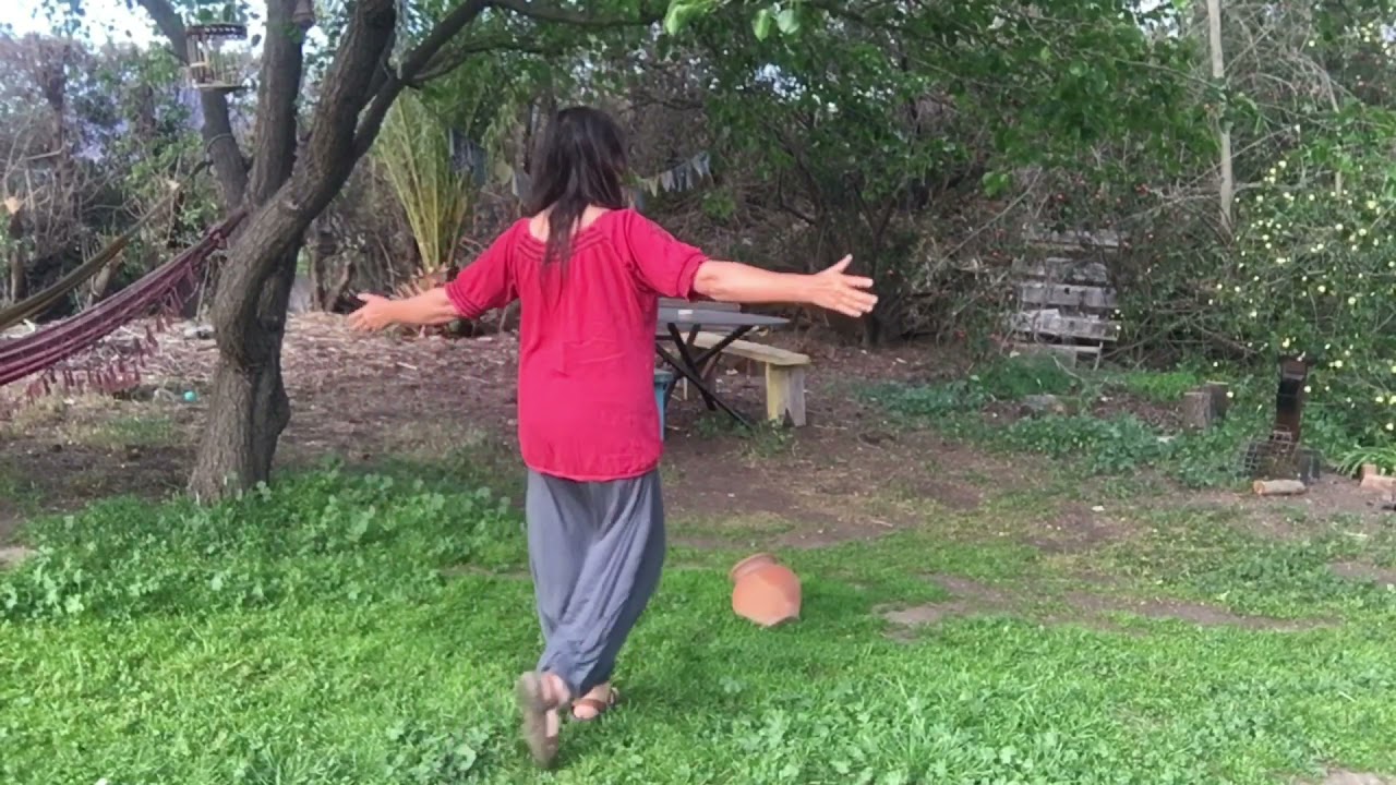 Colibrí, Danza circular