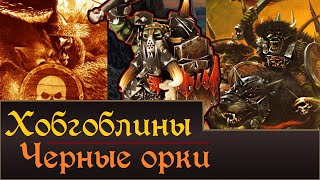 Хобгоблины и Черные Орки | Личности, История. Что мы возможно увидим в Total War Warhammer 3