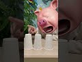 The Candy Hunt with a Sneaky Surprise Ending!🐷🤣🤣🤣 #shorts
