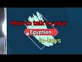 How to talk to your Egyptian in laws (funny)