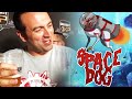 SPACE DOG CONFIRMED BY JASON BLUNDELL! :O