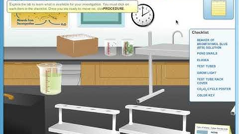 Snail & Elodea Lab Introduction