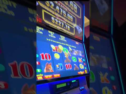Inside Silverton Casino