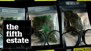 Marijuana vending machine : a first in Canada - the fifth estate