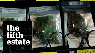 видео dispensary canada