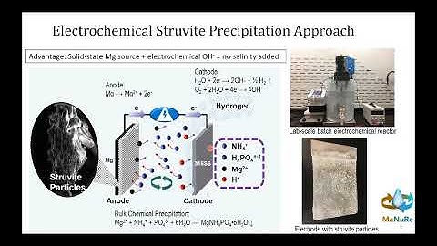 Advances in Nutrient Recovery Technology: Approaches to Controlling Recovered Product Chemistry
