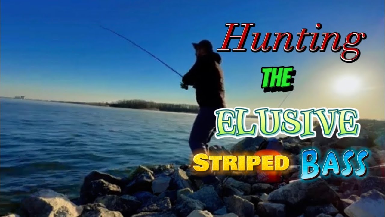 Episode 7 Hunting the elusive Hybrid Stripe Bass/ Braidwood Lake